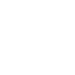 Watt Works logo
